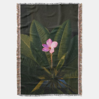 Manta Primer florín, Plumeria