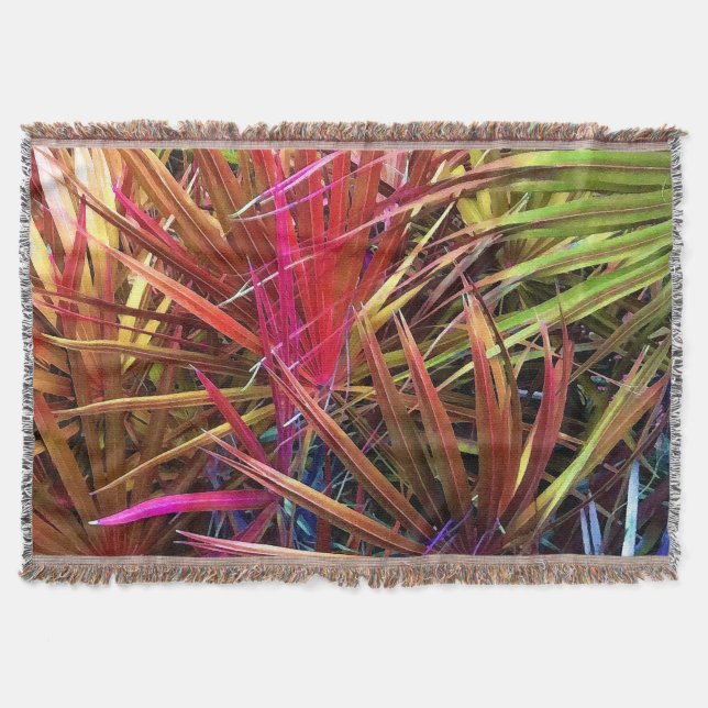 Manta Protesta de Palmetto (Anverso)