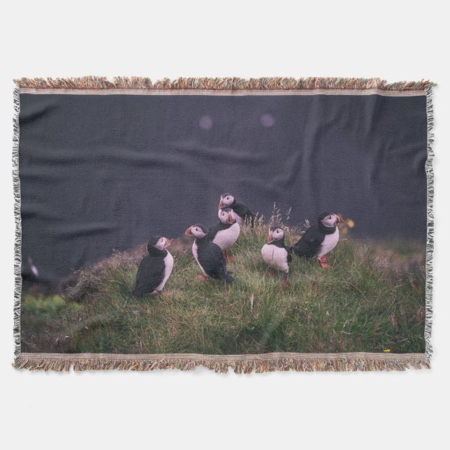 Manta Puffins atlánticos (Anverso)