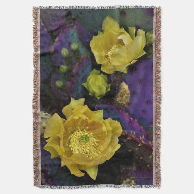 Manta Púrpura Pear Opuntia Cactus Flores Amarillas (Frente vertical)