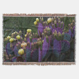 Manta Púrpura Pear Opuntia Cactus Flores Amarillas