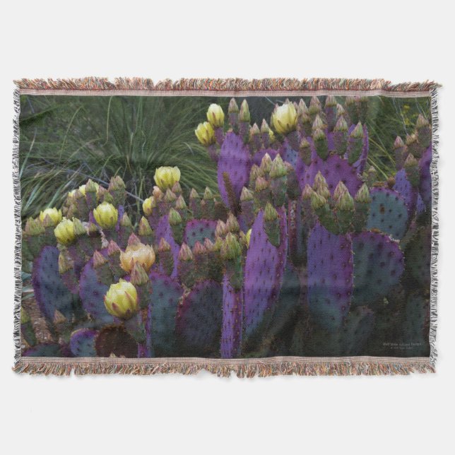 Manta Púrpura Pear Opuntia Cactus Flores Amarillas (Anverso)