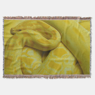 Manta Python birmano amarillo
