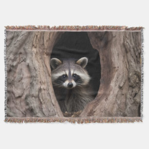 Manta Racoon en la cueva del árbol