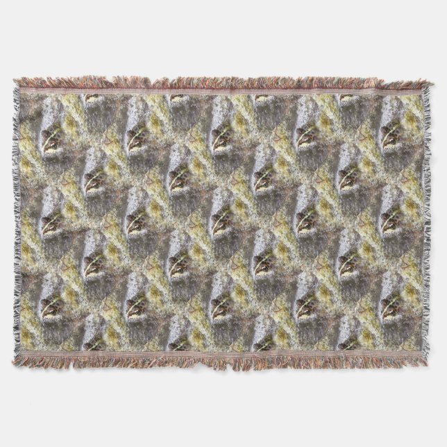 Manta Rana inmersa en burbujas de agua y peto (Anverso)