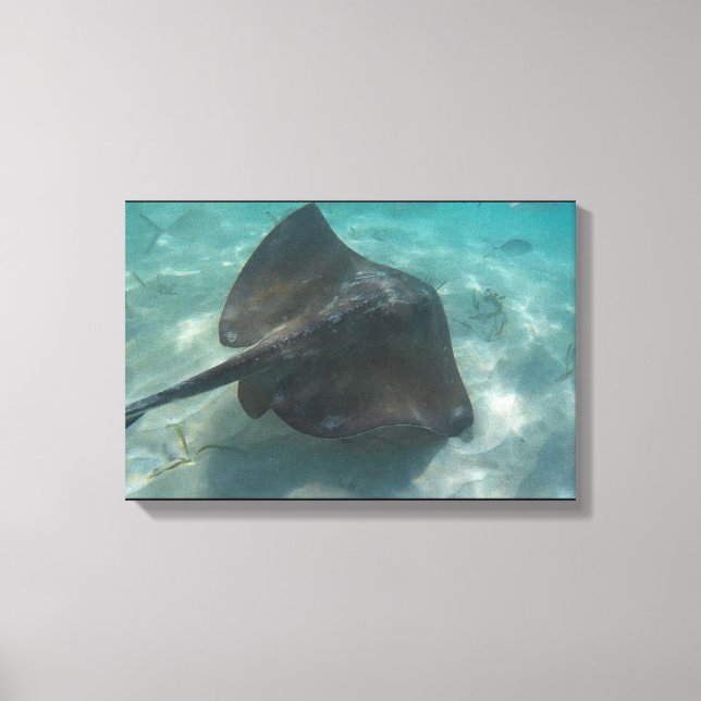 MANTA RAYA EN LIENZO 20 "x 16" (Anverso)