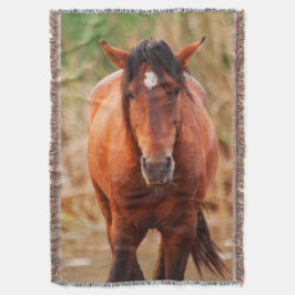 Manta Retrato de un salvaje Mustang