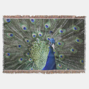 Manta Retrato del pavo real con las plumas hacia fuera