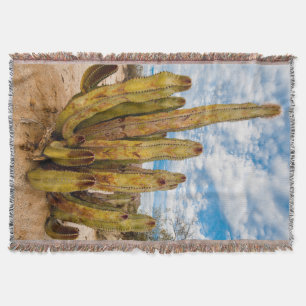 Manta Retrato del viejo cactus hombre, México