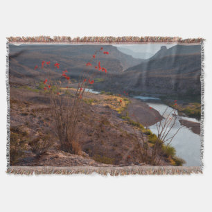 Manta Río Grande atravesando el desierto de Chihuahuan