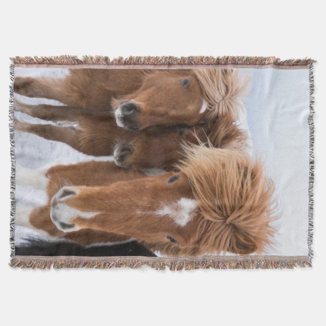 Manta Rompecabezas islandesa de caballos, Islandia (Anverso)