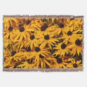 Manta Rudbeckia Fulgida / Naranja Coneflower