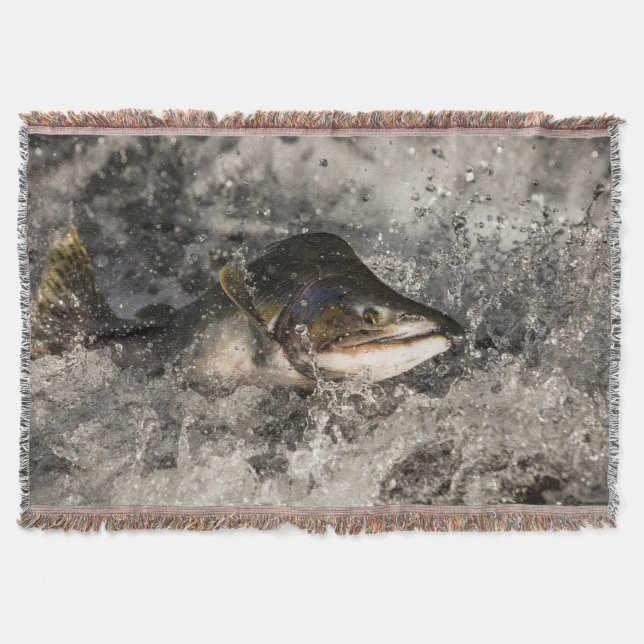 Manta Saltando Salmon (Anverso)