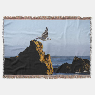 Manta Saltos de gaviota