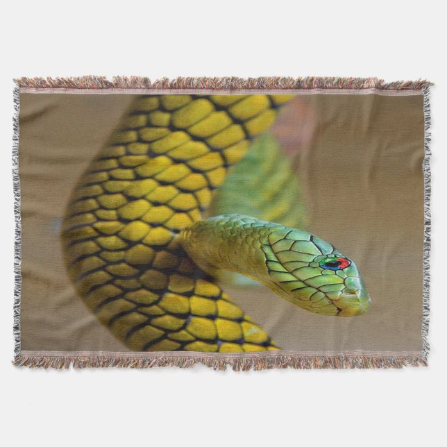 Manta Serpiente Amarilla Ojos de Arcoíris (Anverso)