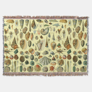 Manta Shell de conchas marinas Mollusk Clam Elegante Art