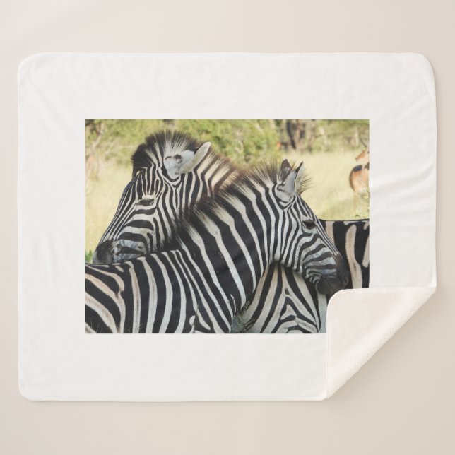 Manta Sherpa Abrazo (Anverso (horizontal))