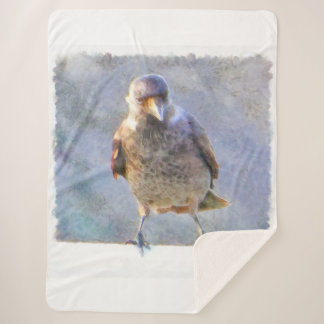 Manta Sherpa Acuarela de Jackdaw