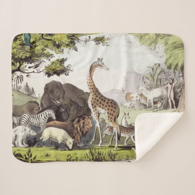 Manta Sherpa Adam nombra a las criaturas (Anverso (horizontal))