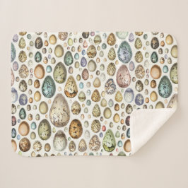 Manta Sherpa Adolphe Millot Ouefs Eggs