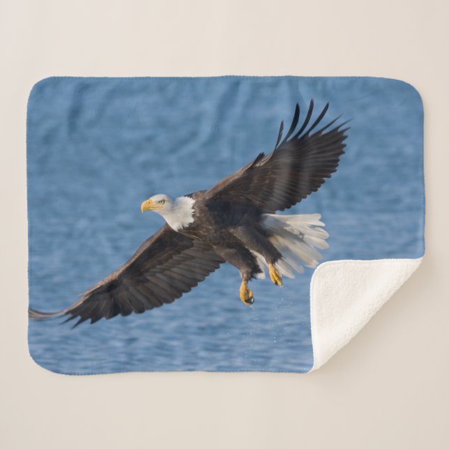 Manta Sherpa Águila calva en vuelo (Anverso (horizontal))