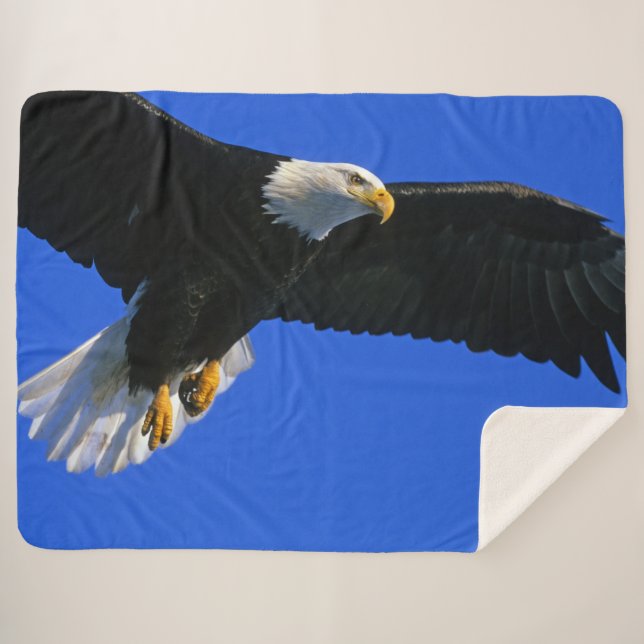 MANTA SHERPA ÁGUILA DE SONIDO (Anverso (horizontal))