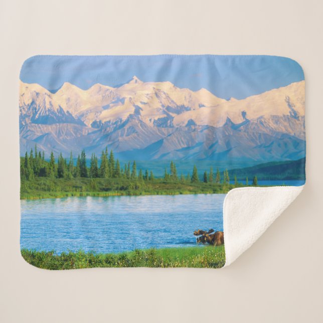 Manta Sherpa Alce macho en Wonder Lake (Anverso (horizontal))