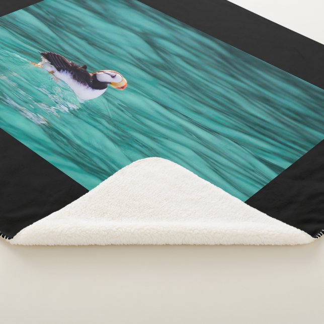 Manta Sherpa Aluminio En La Bahía Resurrección, Alaska (3/4)