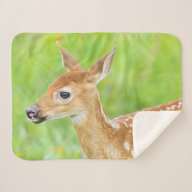 Manta Sherpa Amanecer de ciervo con cola blanca | Minnesota (Anverso (horizontal))