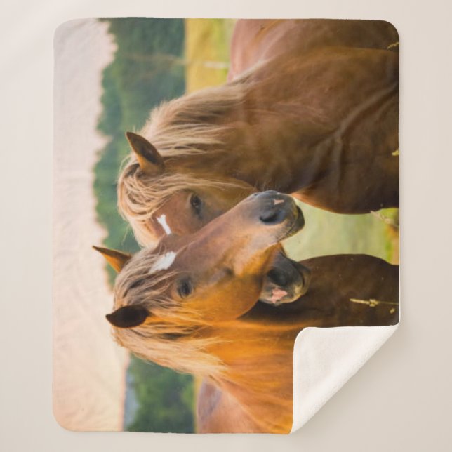 Manta Sherpa Amor incondicional (Anverso)