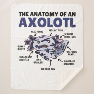Manta Sherpa Anatomía De Explicación Del Mosaico Axolotl De Un