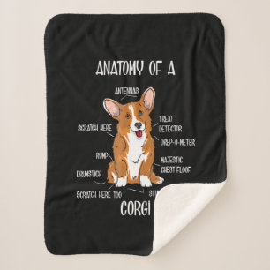 Manta Sherpa Anatomía de perro , Regalo de biología de Corgi Cu