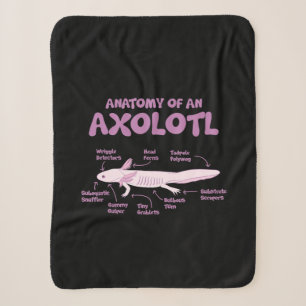 Manta Sherpa anatomía de una ciencia de la biología axolotl a