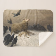 Anguila: Oveja con cordero muerto