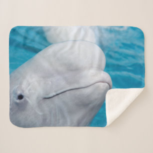 Manta Sherpa Animal del mar de ballena de Cuta Beluga