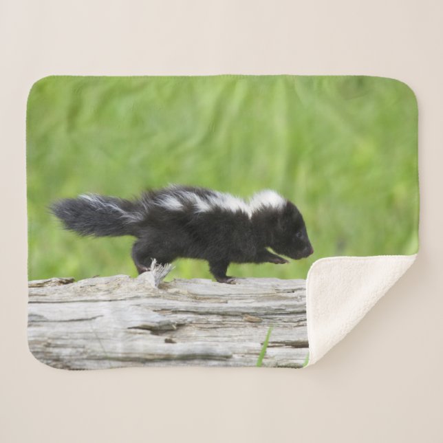 Manta Sherpa Animales de bebé más afectados | Baby Skunk (Anverso (horizontal))