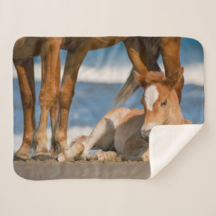Manta Sherpa Animales de bebé más afectados   Caballo salvaje C
