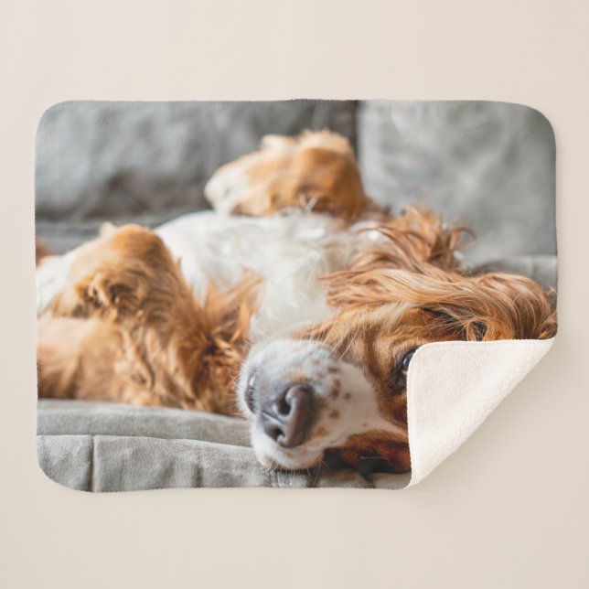 Manta Sherpa Animales de bebé más afectados | Cocker Spaniel (Anverso (horizontal))