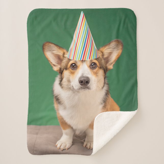 Manta Sherpa Animales de bebé más afectados | Corgi Birday Pupp (Anverso)