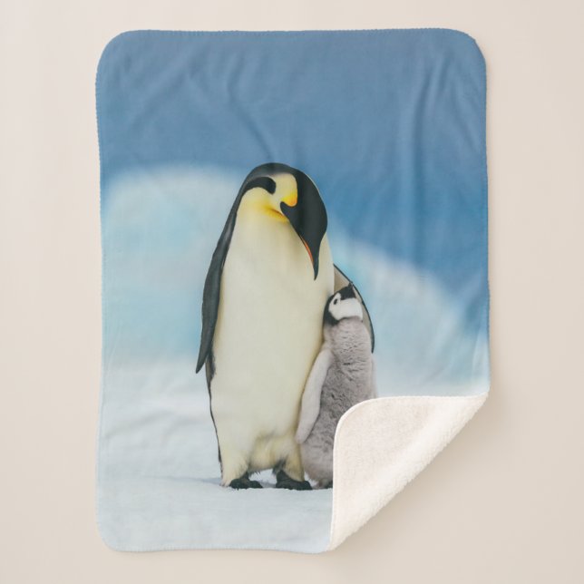 Manta Sherpa Animales de bebé más afectados | Emperador Pingüin (Anverso)