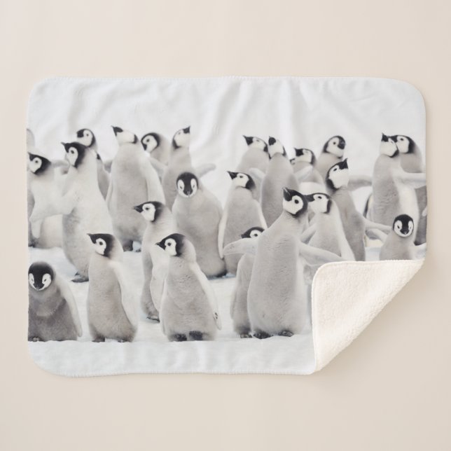 Manta Sherpa Animales de bebé más afectados | Emperador Pingüin (Anverso (horizontal))