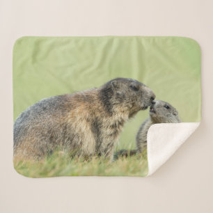 Manta Sherpa Animales de bebé más afectados Familia de marmot