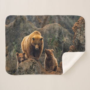 Manta Sherpa Animales de bebé más afectados   Familia de oso ma