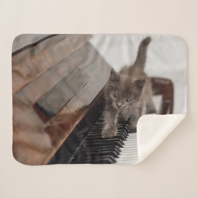 Manta Sherpa Animales de bebé más afectados | Gatito en piano (Anverso (horizontal))