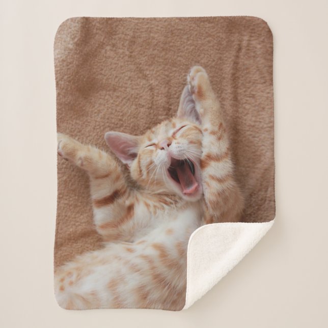 Manta Sherpa Animales de bebé más afectados | Ginger Kitten Yaw (Anverso)