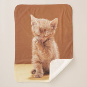 Manta Sherpa Animales de bebé más afectados Naranja Tabby Kit