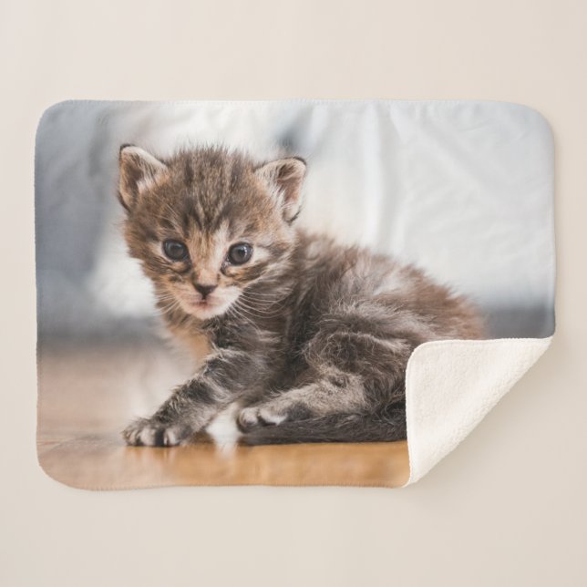 Manta Sherpa Animales de bebé más afectados | Pequeño Gatito De (Anverso (horizontal))