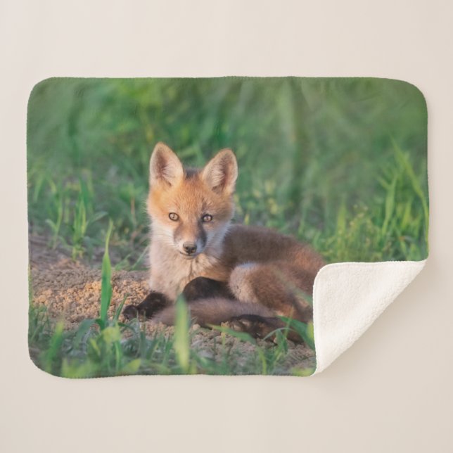 Manta Sherpa Animales de bebé más afectados | Red Fox Kit Relax (Anverso (horizontal))