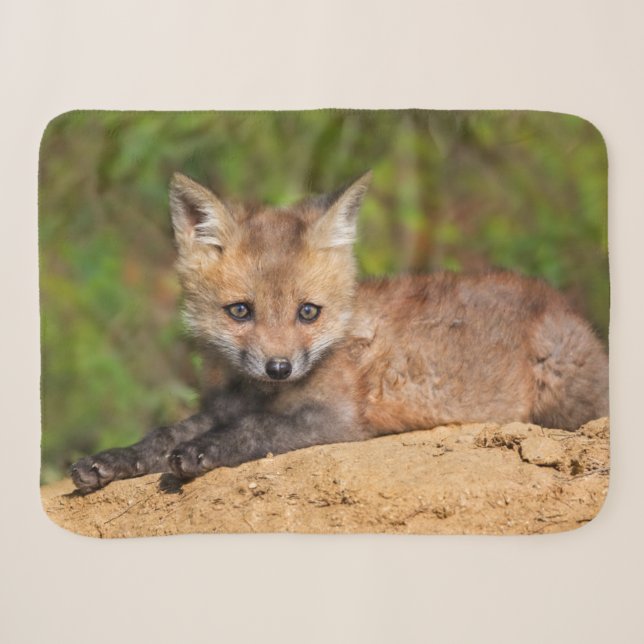 Manta Sherpa Animales de bebé más afectados | Red Fox Pup (Anverso (horizontal))