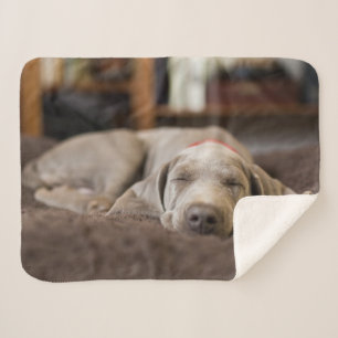 Manta Sherpa Animales de bebé más afectados Weimaraner Puppy